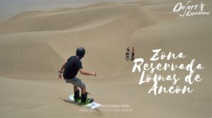 Sandboarding y aventura en la zona reservada lomas de ancón en Huaral tours de aventura
