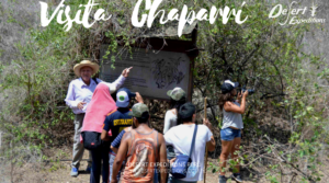 Visita Chaparrí, turismo sostenible y ecoturismo en Lambayeque, modelo de turismo sostenible comunal, turismo sostenible en Peru (1)