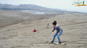 Limpieza de las dunas de chilca y sandboarding , responsabilidad ambiental en las dunas de lima por desert expeditions (8)
