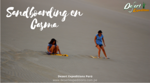 Sandboarding en manchan y la duna longitudinal de casma por desert expeditions, turismo de aventura en ancash (4)