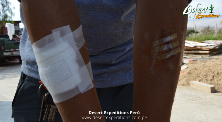Curso de primeros auxilios en zona agreste by Desert Expeditions (2)