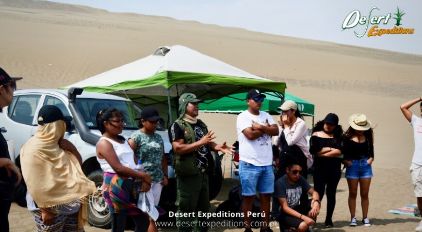 Programa de pasantía en Desert Expeditions en conservación, investigación y turismo en Ancón, turismo y academia, turismo de aventura, conservación en ancón (2)