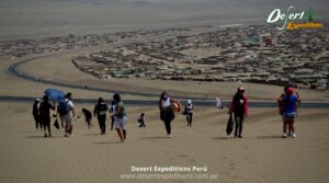 Programa de pasantía en Desert Expeditions en conservación, investigación y turismo en Ancón, turismo y academia, turismo de aventura, conservación en ancón (10)