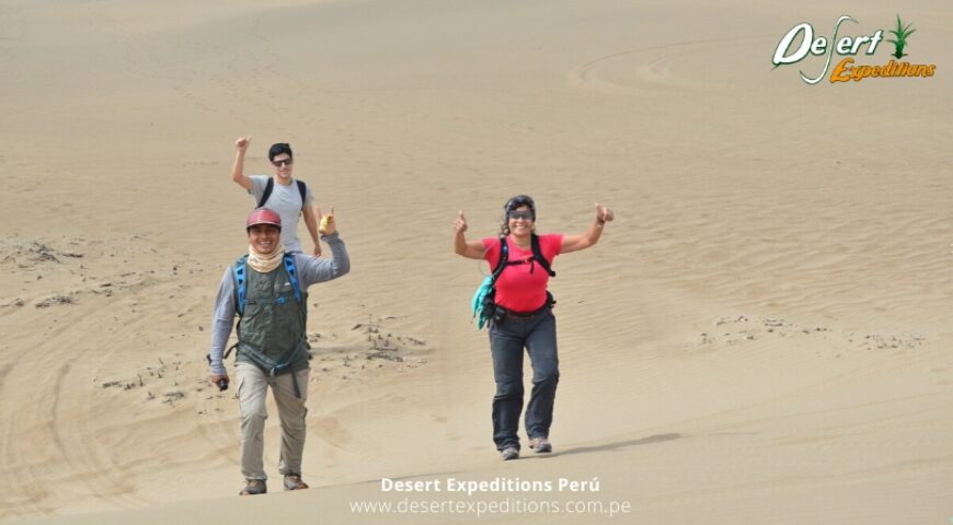 Programa de pasantía en Desert Expeditions en conservación, investigación y turismo en Ancón, turismo y academia, turismo de aventura, conservación en ancón (9)